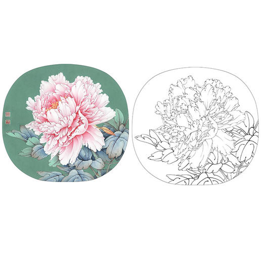 李晓明工笔花鸟白描底稿牡丹团扇四小品之三多种白描尺寸可选k022