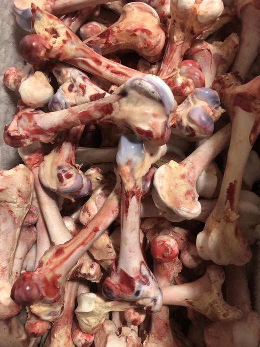 青海特产牦牛棒棒骨中老年补钙孩子壮骨增加营养纯天然无污染