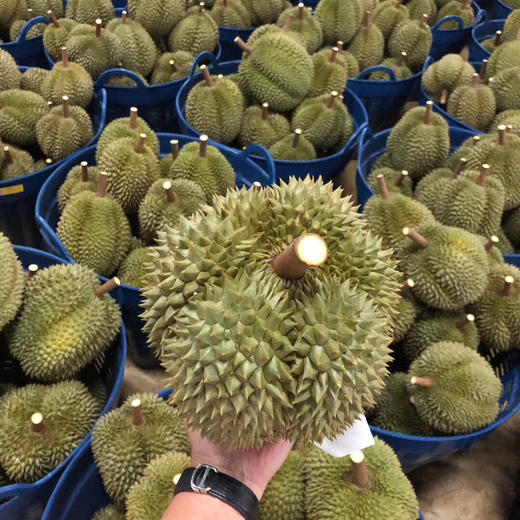 泰国甲仑榴梿一级大果 （包5房）保留好快递单 /48-72小时发货 商品图11