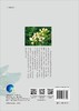 三亚红树林 商品缩略图1