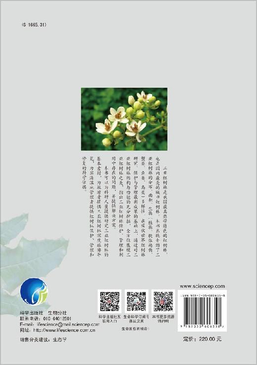 三亚红树林 商品图1