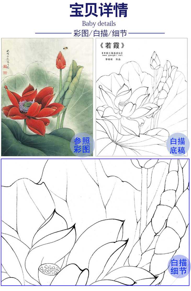 李晓明工笔花鸟画白描底稿红荷花若霞斗方小品册页k092