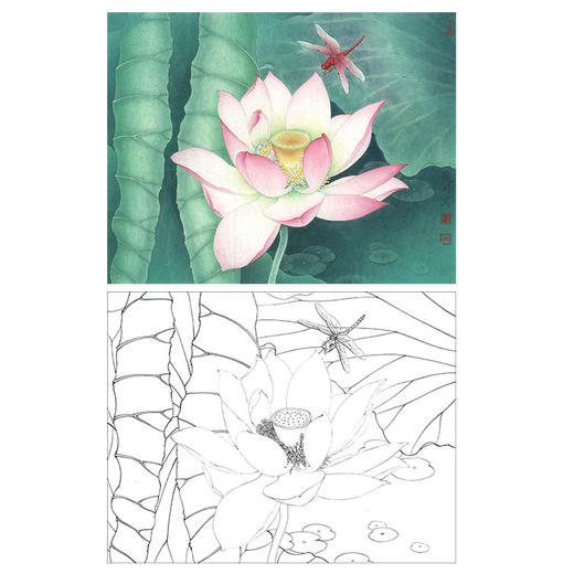 李晓明工笔花鸟白描底稿荷花蜻蜓斗方小品册页k085