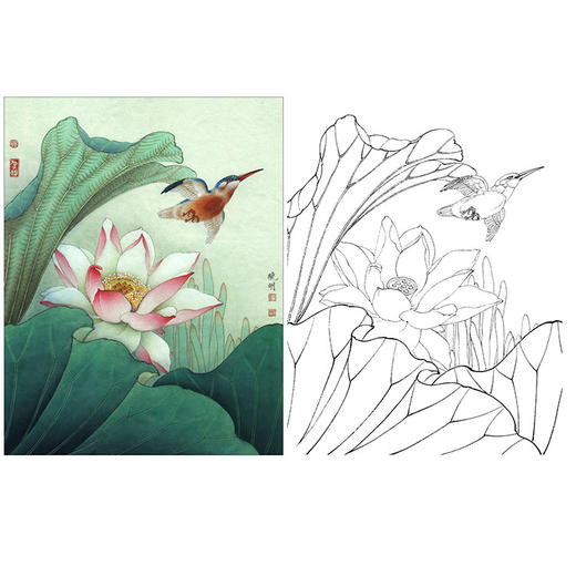 李晓明工笔花鸟画白描底稿荷花菡萏新花斗方小品册页k087