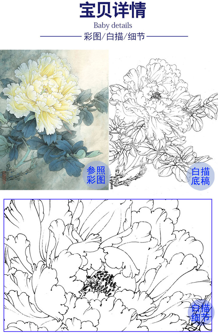 李晓明工笔花鸟白描底稿牡丹天香夜染衣斗方小品册页k032