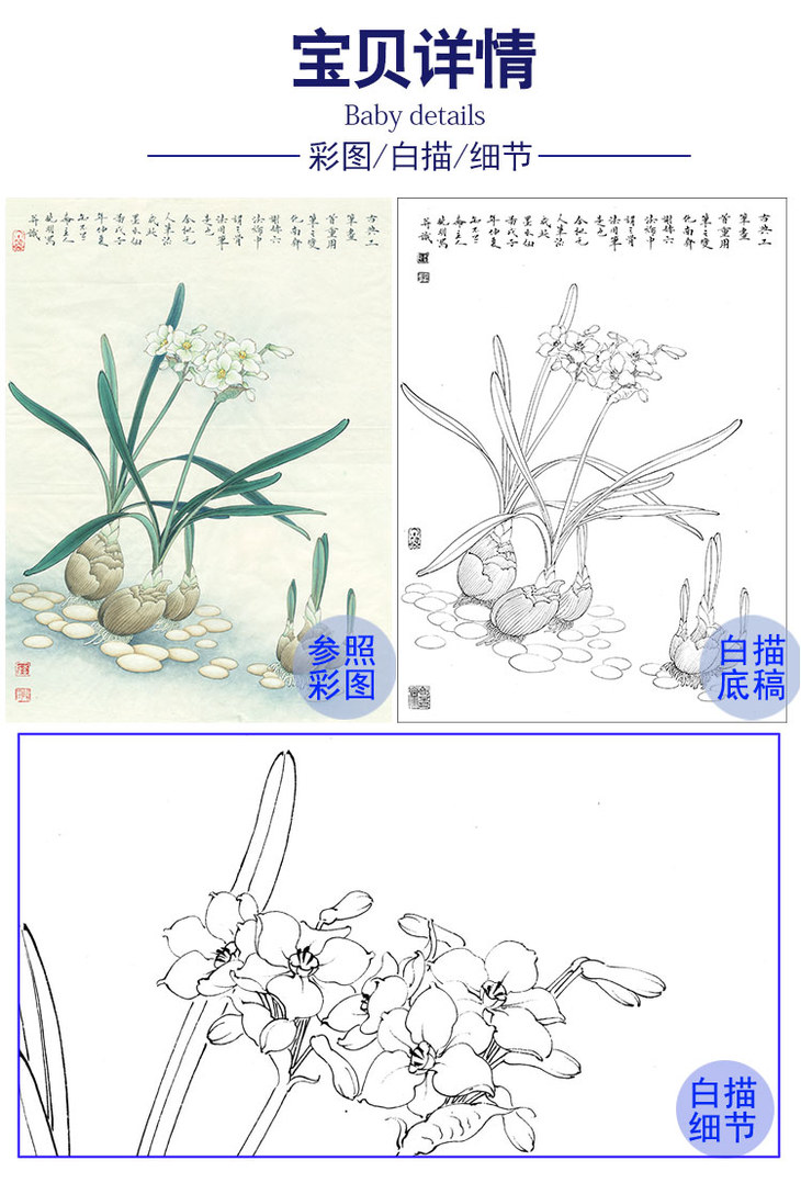 李晓明工笔花鸟白描底稿水仙花斗方小品册页k108