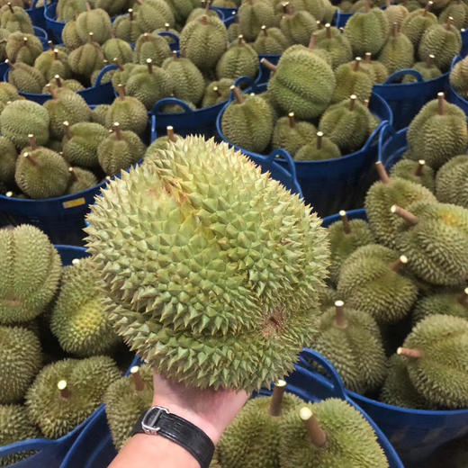 泰国甲仑榴梿一级大果 （包5房）保留好快递单 /48-72小时发货 商品图10