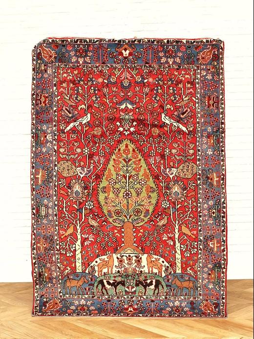 蛇神之首解密|悼念段青：生命有限，探索永无止境——新疆洛浦县山普拉乡出土的五件遗弃遗物探秘