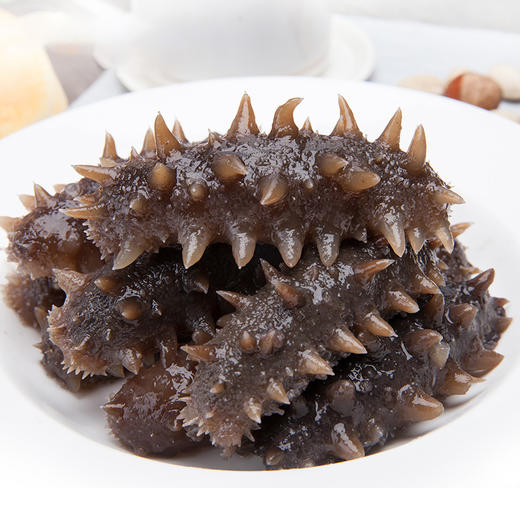 冷冻 辽参 海参 精品礼盒 10只(下单另赠送2只) - 海鸿优选