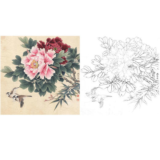 李晓明工笔花鸟白描底稿牡丹相约到白头斗方小品册页k045