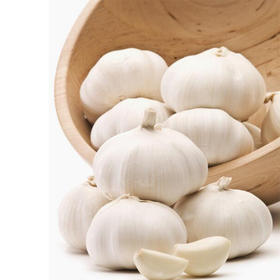 【百汇到家】大蒜