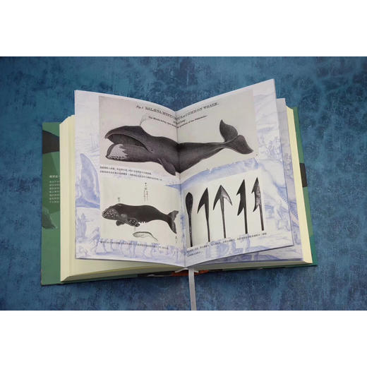 【甲骨文】利维坦：美国捕鲸史 商品图4