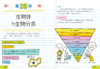 《美国少年学霸超级笔记》（全2册）构建严谨知识体系 培养科学思维方式【图书】 商品缩略图3