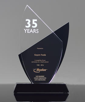 燕尾新港水晶创意奖杯高档奖杯定制