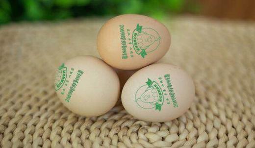 【散养山鸡蛋】50枚/箱，产地直邮，湘黄鸡蛋宝宝，当天捡蛋，新鲜直达。香、鲜 商品图2