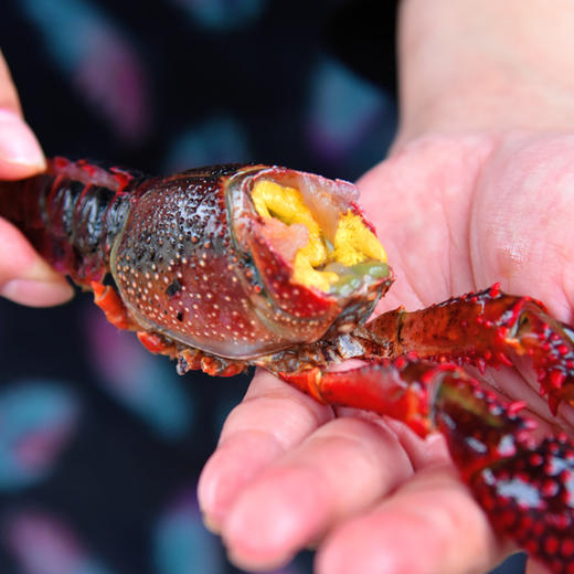 38.9元特价抢购丨湖北虾皇-一斤半龙虾再送斋面一份 商品图2