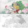 李晓明横幅工笔花鸟白描底稿-孔雀牡丹-多种白描尺寸可选-K051 商品缩略图0