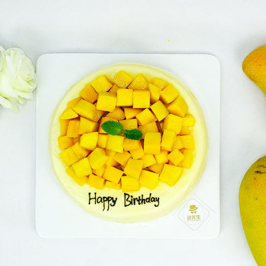 芒果千层（6寸-8寸-10寸三种尺寸可选，产品图为8寸） 商品图2