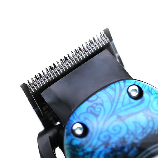 Andis安迪斯 电推 73060 刀头/锂电池/充电/脱线 商品图1