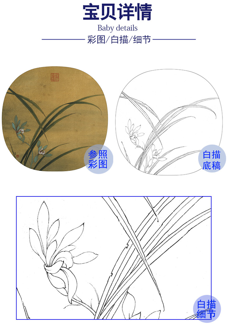 工笔画秋兰绽蕊图步骤图片