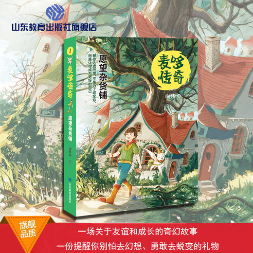 麦哆传奇 愿望杂货铺 商品图0