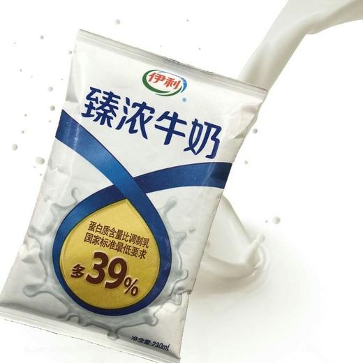 纯牛奶伊利臻浓牛奶230ml袋