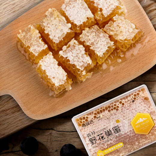 秦岭野花巢蜜500g  秦岭山花好蜜源 可以嚼着吃的蜂蜜 商品图0