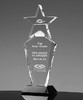 明日之星造型奖杯工艺奖品定制 商品缩略图0