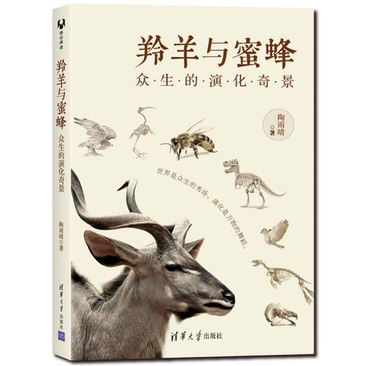 羚羊与蜜蜂(众生的演化奇景) 商品图1