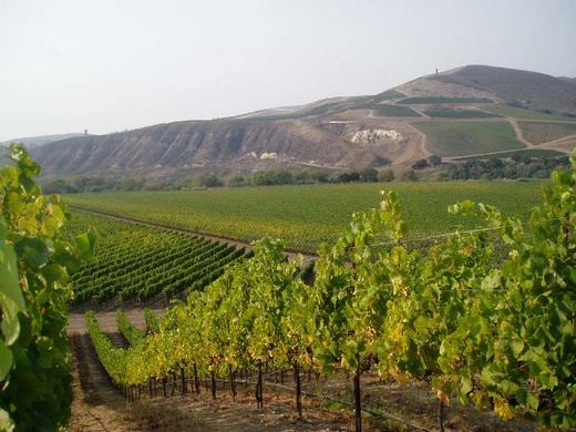 美国贾斯汀三角红Justin Vineyards & Winery Isosceles, Paso R 商品图2