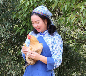 八乡农嫂高山散养220天的泉水鸡，当天现杀锁鲜(剁好配送)原汁原味