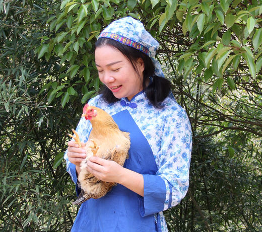 八乡农嫂高山散养220天的泉水鸡，当天现杀锁鲜(剁好配送)原汁原味 商品图0