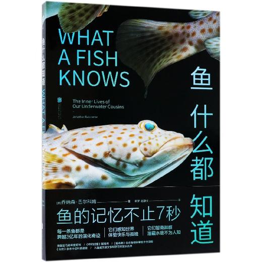 鱼什么都知道 商品图0