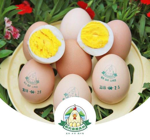 【散养山鸡蛋】50枚/箱，产地直邮，湘黄鸡蛋宝宝，当天捡蛋，新鲜直达。香、鲜 商品图0