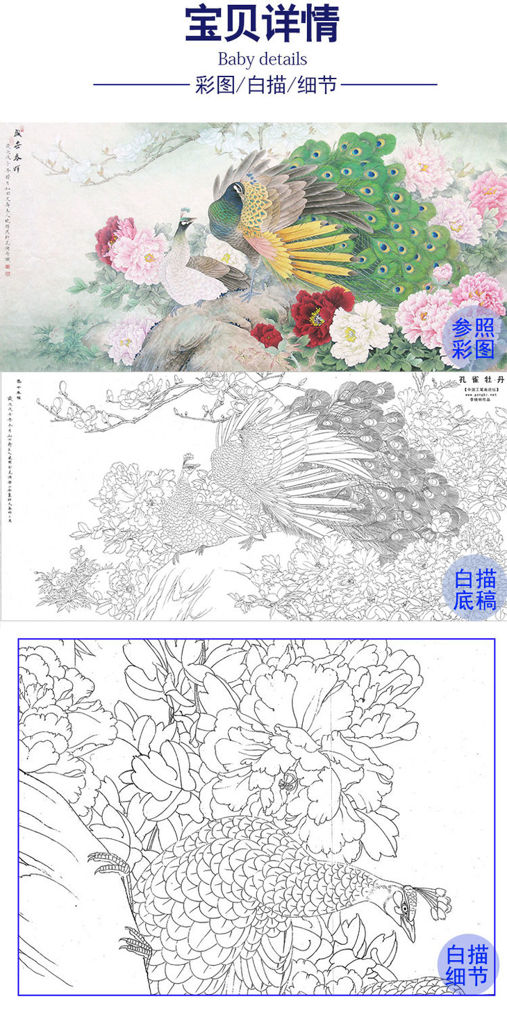 李晓明横幅工笔花鸟白描底稿孔雀牡丹多种白描尺寸可选k051