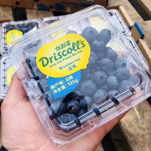 限量版怡颗莓®️蓝莓王 商品图1