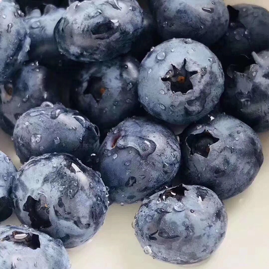 限量版怡颗莓®️蓝莓王