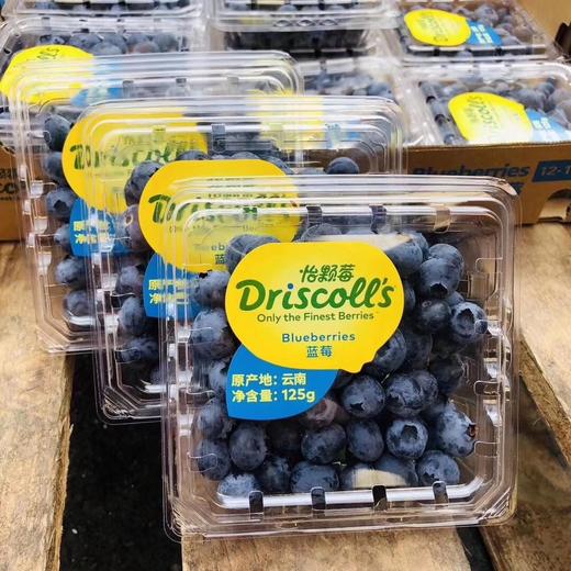 限量版怡颗莓®️蓝莓王 商品图2