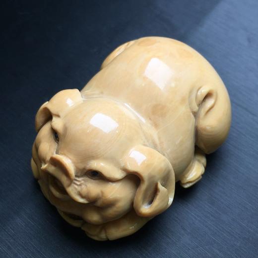 d40617猛犸象牙招财福猪挂件手把件