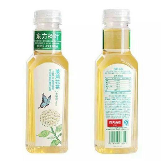 饮料东方树叶茉莉花茶500ml瓶