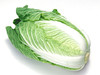 【百汇到家】新白菜（3斤起售） 商品缩略图0