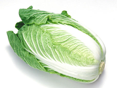 【百汇到家】新白菜（3斤起售） 商品图0