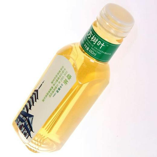 【饮料】东方树叶绿茶500ml/瓶 商品图0