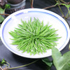 茶叶|明前碧螺春250g/500g 商品缩略图2