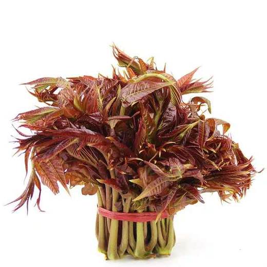 香椿芽新鲜头茬2斤野生露天红香椿芽菜叶年山东沂蒙山香椿头