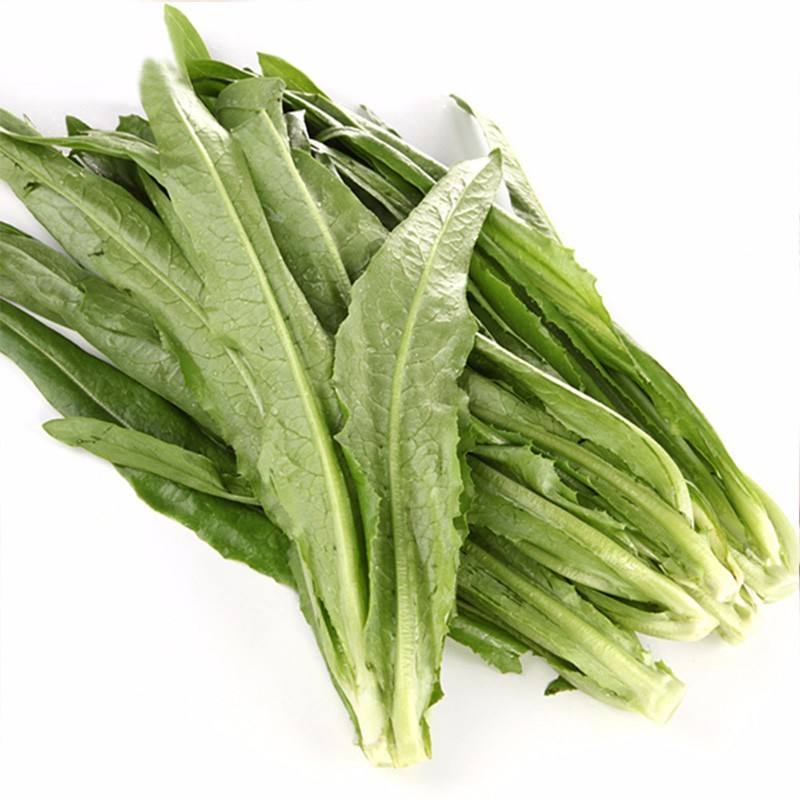 自产/有机油麦菜