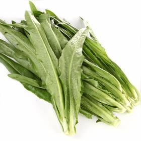 自产/有机油麦菜