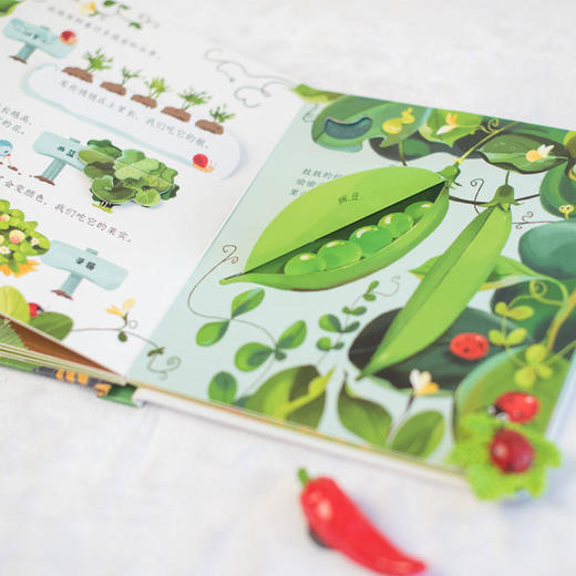 尤斯伯恩 偷偷看里面 精选辑（共6册） 经典儿童科普百科 商品图4