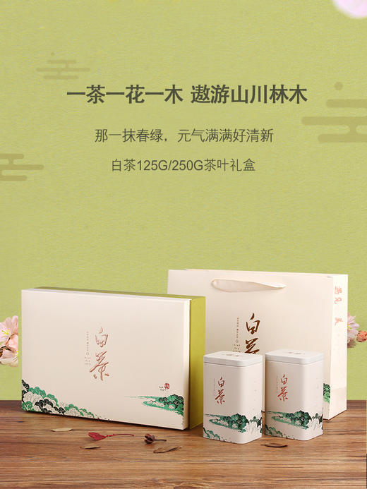 茶叶|明前安吉白茶125g/250g 商品图3