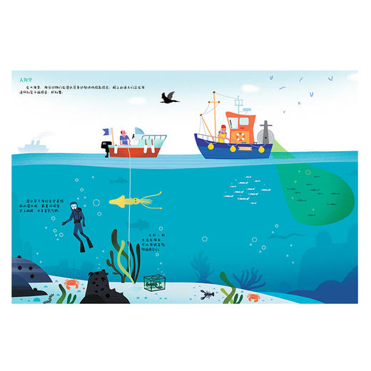 儿童场景认知磁力贴游戏书：海洋  少儿 3-8岁 商品图2